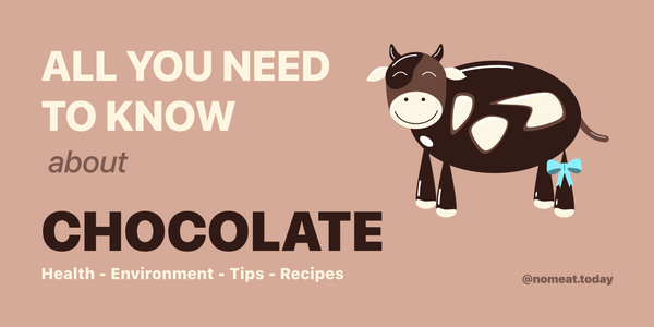 All you need to know about chocolate