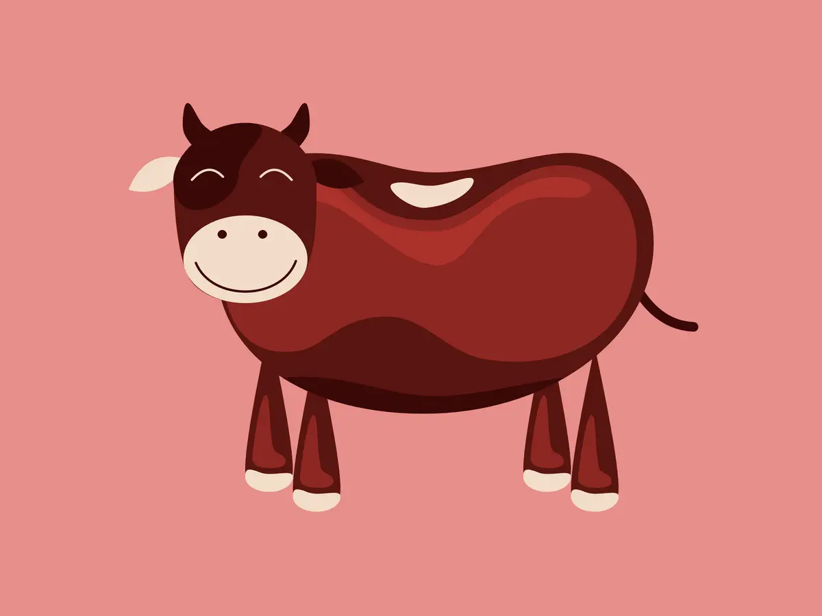 No Meat Today — Cows