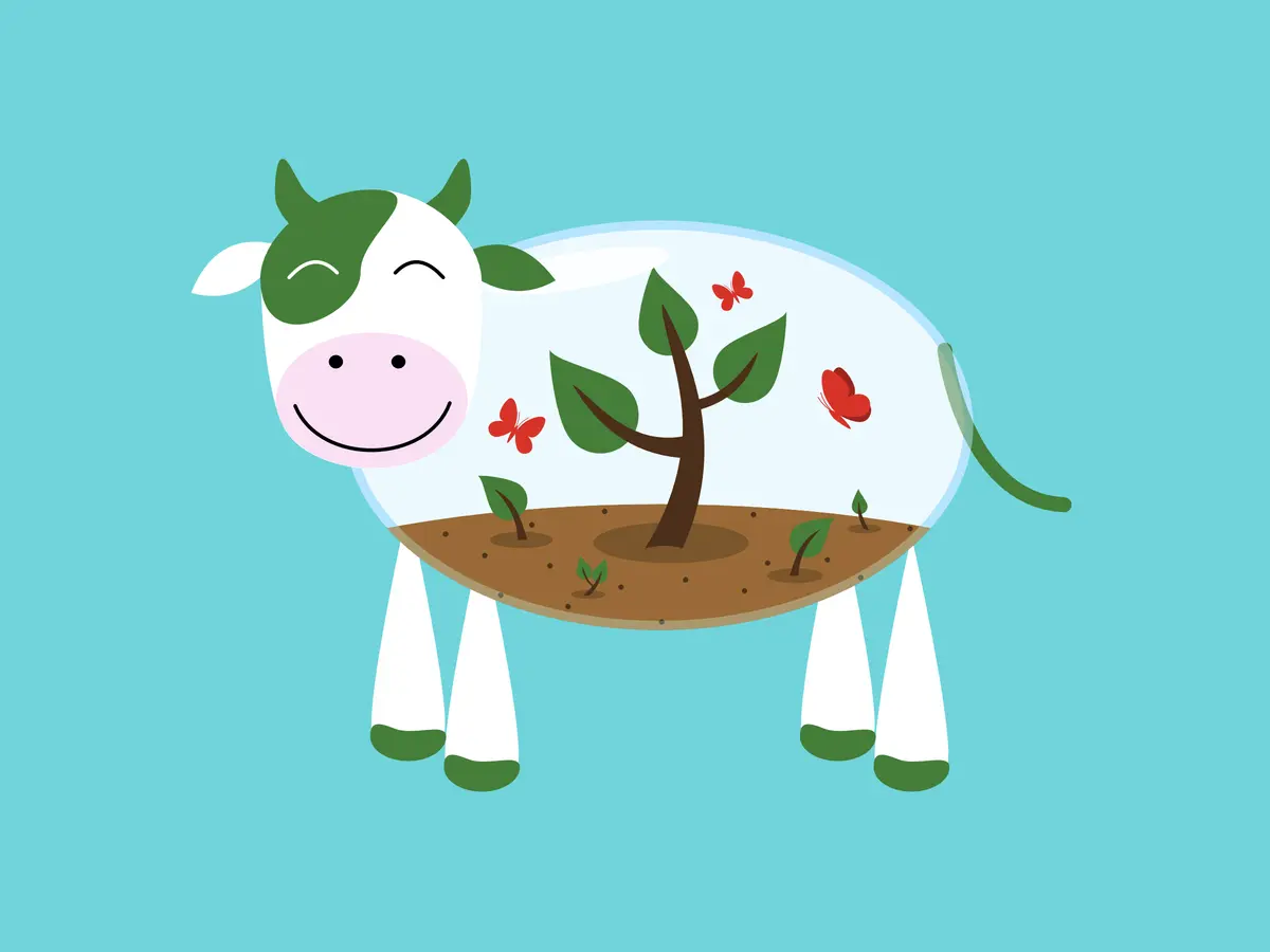 No Meat Today — Cows